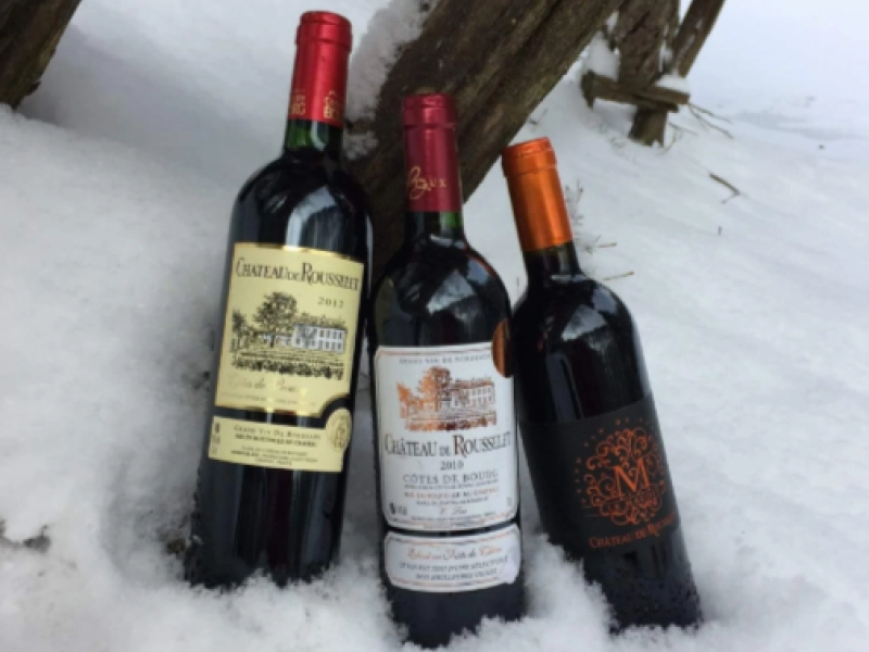 Chateau De Rousselet Vin De Bordeaux En Livraison A Rennes Photo 13 1